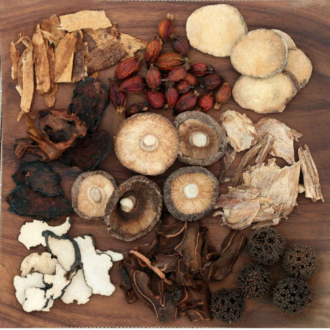 Five Medical Mushroom to Know