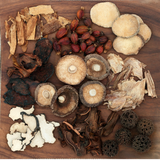 Five Medical Mushroom to Know